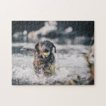 Black Labrador Plays Fetch In Water Jigsaw Puzzle<br><div class="desc">Black Labrador Retriever with ball in his mouth splashing through water.</div>