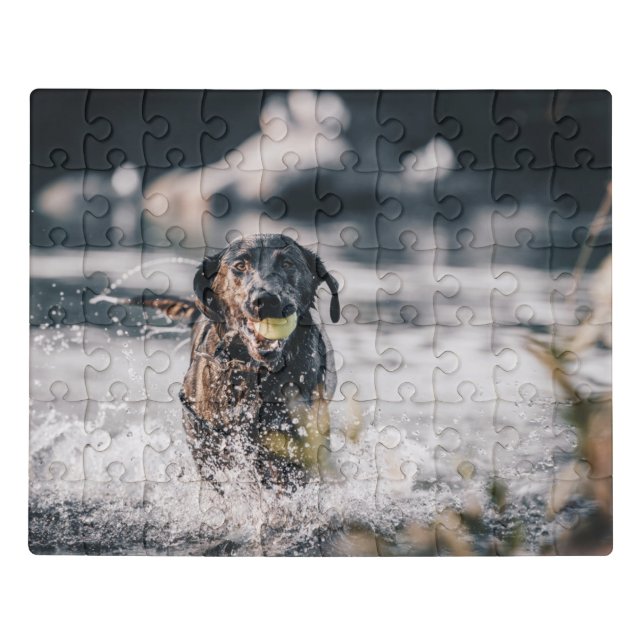 Black Labrador Plays Fetch In Water Jigsaw Puzzle (Puzzle Horizontal)