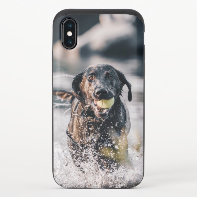 Black Labrador Plays Fetch In Water Uncommon iPhone Case (Back)