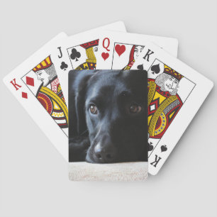 Black Labrador Poker Cards