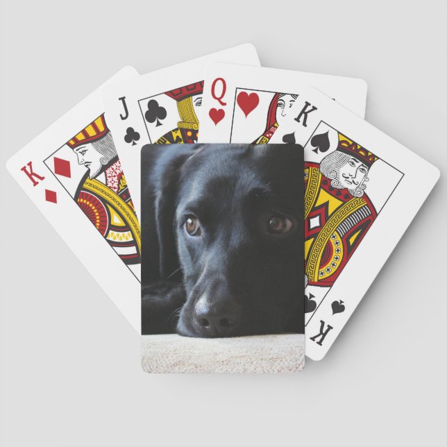 Black Labrador Poker Cards (Back)