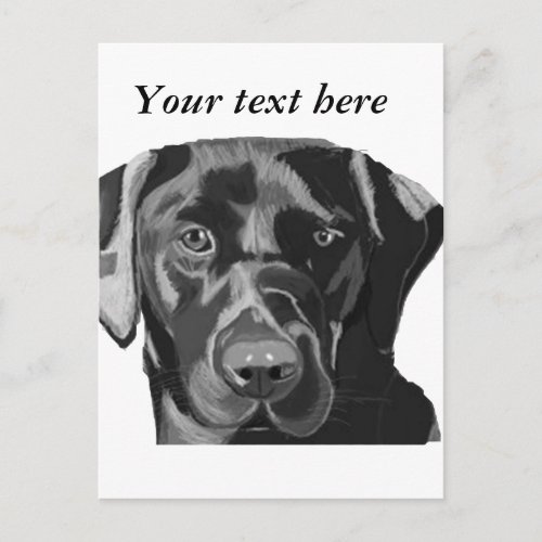 Black Labrador Postcard