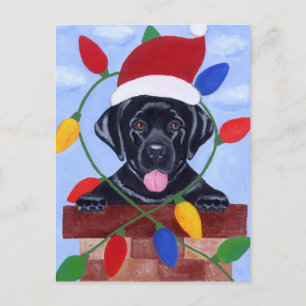 Black Labrador Puppy Christmas Holiday Postcard