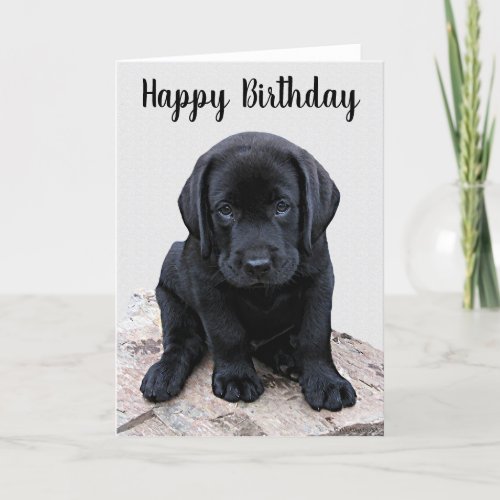 Black Labrador Puppy _ Happy Birthday Card