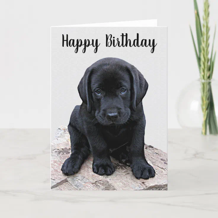 happy birthday dog images black lab