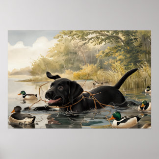 Black Labrador Puppy, Labrador Hunting Poster