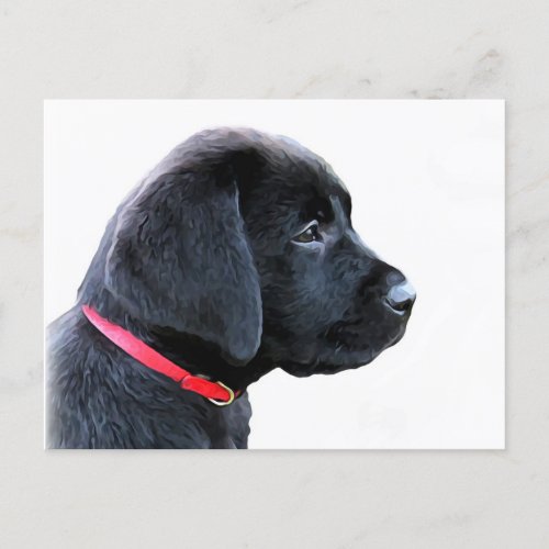 Black Labrador Puppy Red Collar _ Black Lab Postcard