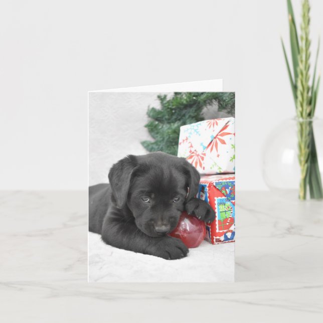 Black Labrador puppy with Christmas presents Thank You Card (Front)
