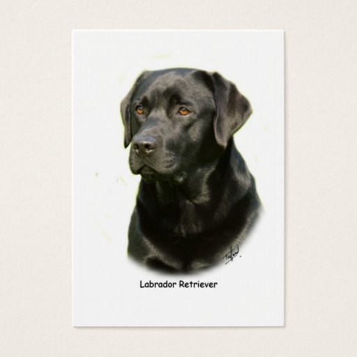 Customizable Black Labrador Retriever Business Card Templates