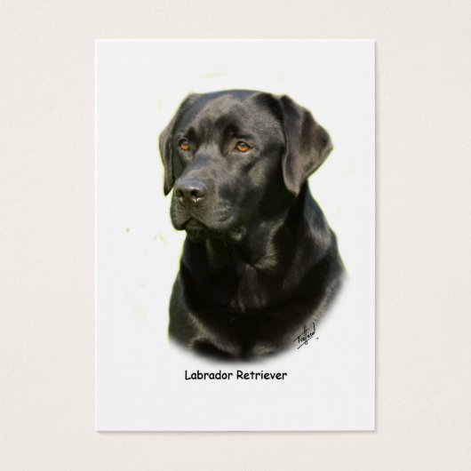 Black Labrador Retriever (Front)