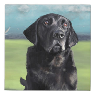 Black Labrador Retriever Arleigh on the Coast Art Faux Canvas Print