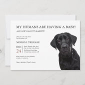 Black Labrador Retriever Baby Shower Minimalist Invitation (Front)