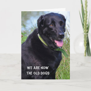 Black Labrador Retriever birthday humor Card