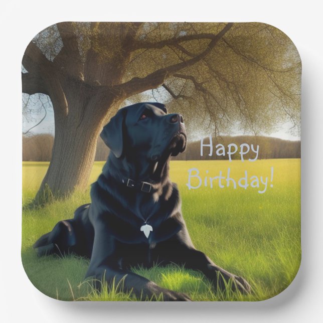 Black Labrador Retriever Birthday Paper Plates (Front)