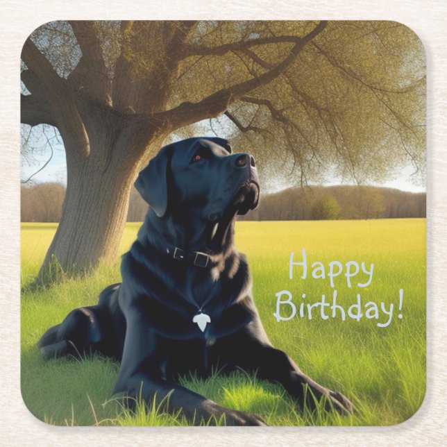 Black Labrador Retriever Birthday Square Paper Coaster (Front)