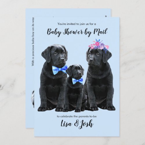 Black Labrador Retriever Blue Boy Puppy Dog  Invitation