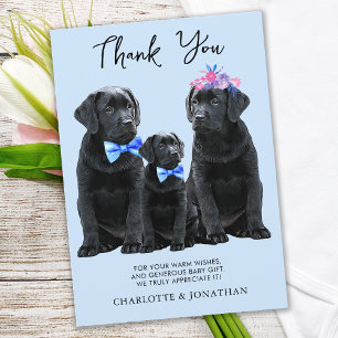 Black Labrador Retriever Blue Boy Puppy Dog Thank You Card