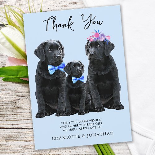 Black Labrador Retriever Blue Boy Puppy Dog  Thank You Card