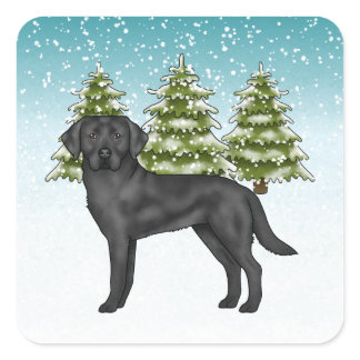 Black Labrador Retriever Blue Snowy Winter Forest Square Sticker