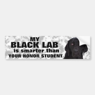 Black Labrador Retriever Bumper Sticker