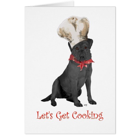Black Labrador Retriever Chef Cards (Front)
