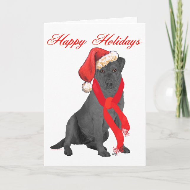 Black Labrador Retriever Christmas Holiday Card (Front)
