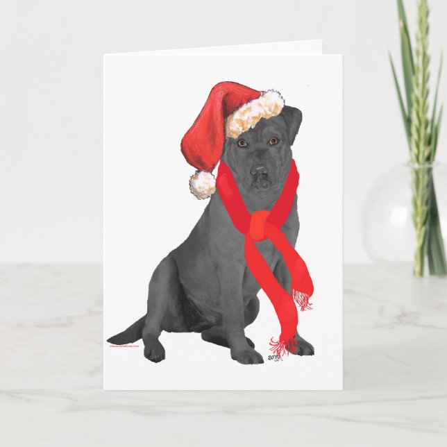 Black Labrador Retriever Christmas Holiday Card (Front)