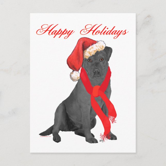 Black Labrador Retriever Christmas Holiday Postcard (Front)