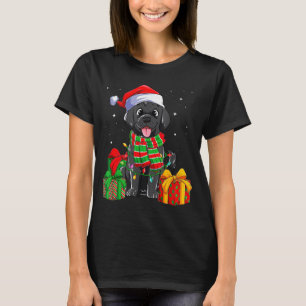Black Labrador Retriever Christmas Lights Xmas Lab T-Shirt
