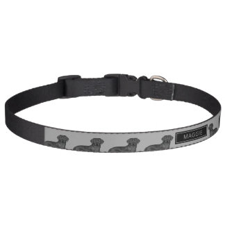 Black Labrador Retriever Cute Lab Dog Custom Name Pet Collar