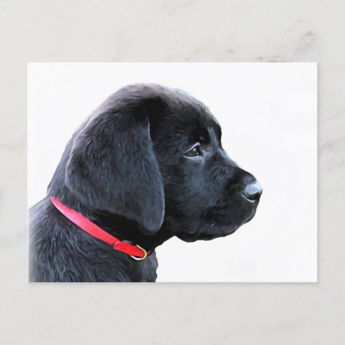 Black Labrador Retriever Cute Puppy _ Black Lab Postcard