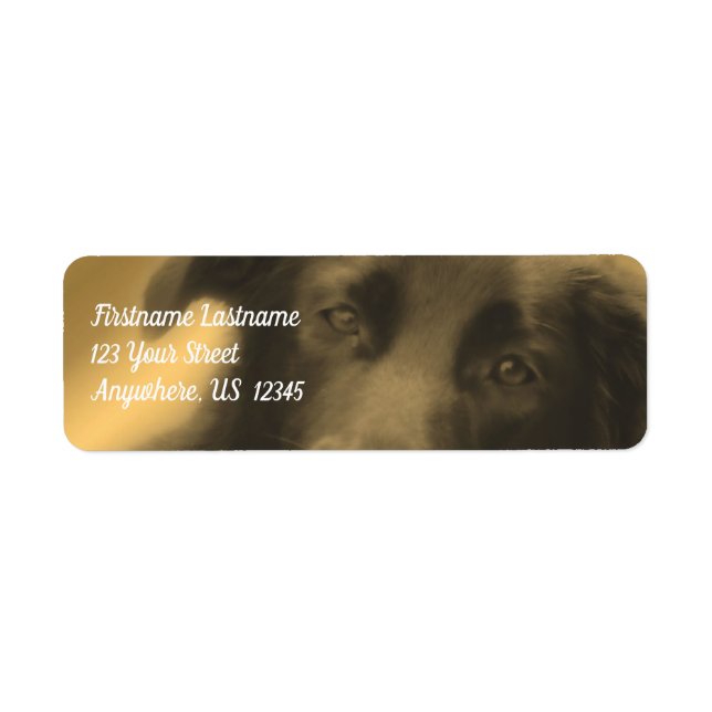 Black Labrador Retriever Dog Address Label (Front)