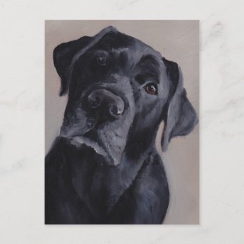 Black Labrador Retriever Dog Art Postcard by CharlottesWebArt at Zazzle