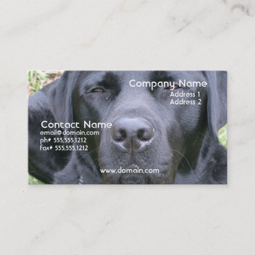 Black Labrador Retriever Dog Business Card
