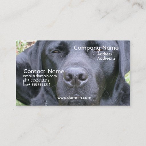 Customizable Black Labrador Retriever Dog Business Card