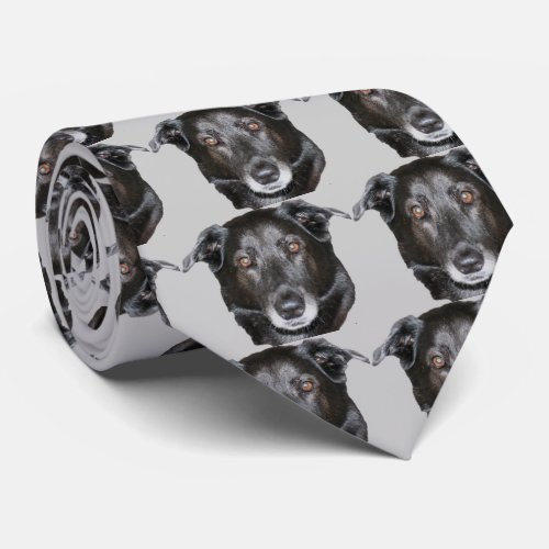 Black Labrador Retriever Dog Face Tie