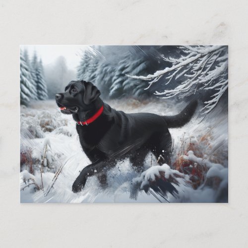 Black Labrador Retriever Dog in the Snow Postcard
