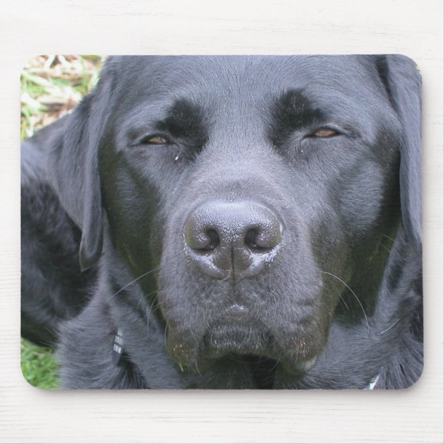 Black Labrador Retriever Dog Mouse Pad (Front)