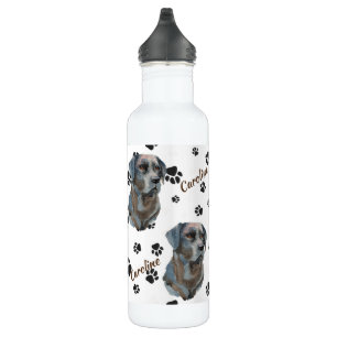 Black Labrador Retriever Dog Pawprint Stainless Steel Water Bottle