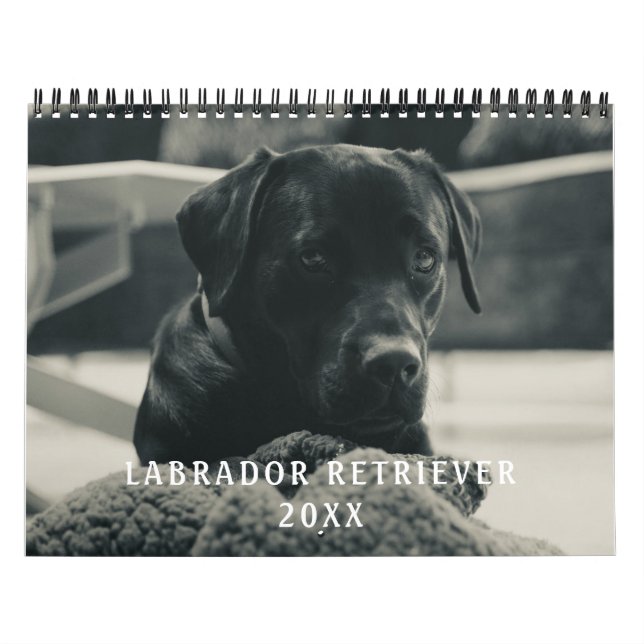 Black Labrador Retriever Dog Pet Photo Calendar (Cover)