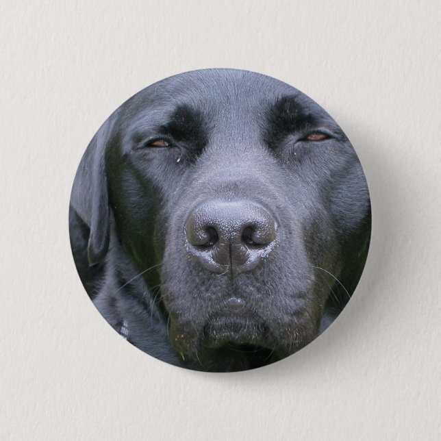Black Labrador Retriever Dog Round Button (Front)