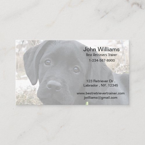 Black Labrador _ Retriever Dog Trainer Black Lab Business Card