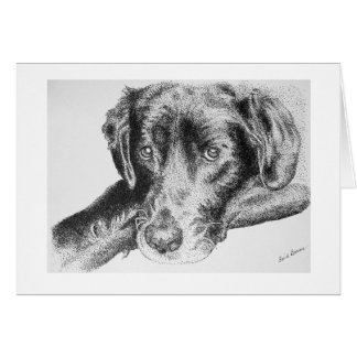 Black Labrador Retriever from Pen and Ink Drawing Cards