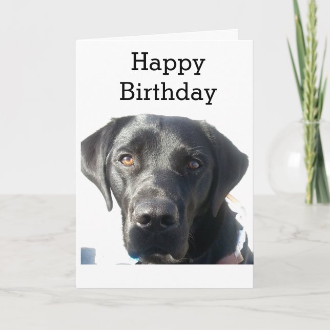 Black Labrador Retriever Happy Birthday Card (Front)