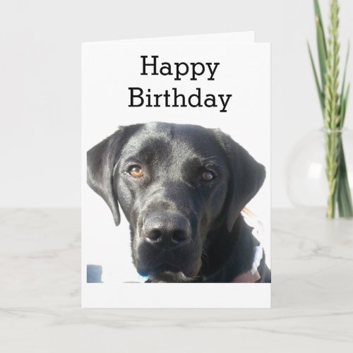 Black Labrador Retriever Happy Birthday Card