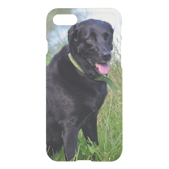 Black Labrador retriever in grass Uncommon iPhone Case (Back)