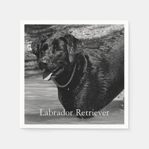 Black Labrador Retriever in Water Paper Napkins