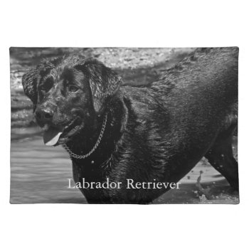 Black Labrador Retriever In Water Placemat by artinphotography at Zazzle