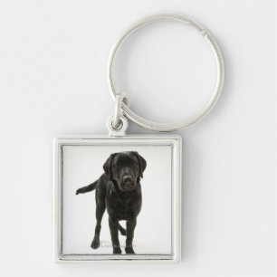 Black labrador retriever keychain