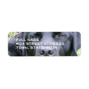 Black Labrador Retriever Mailing Label